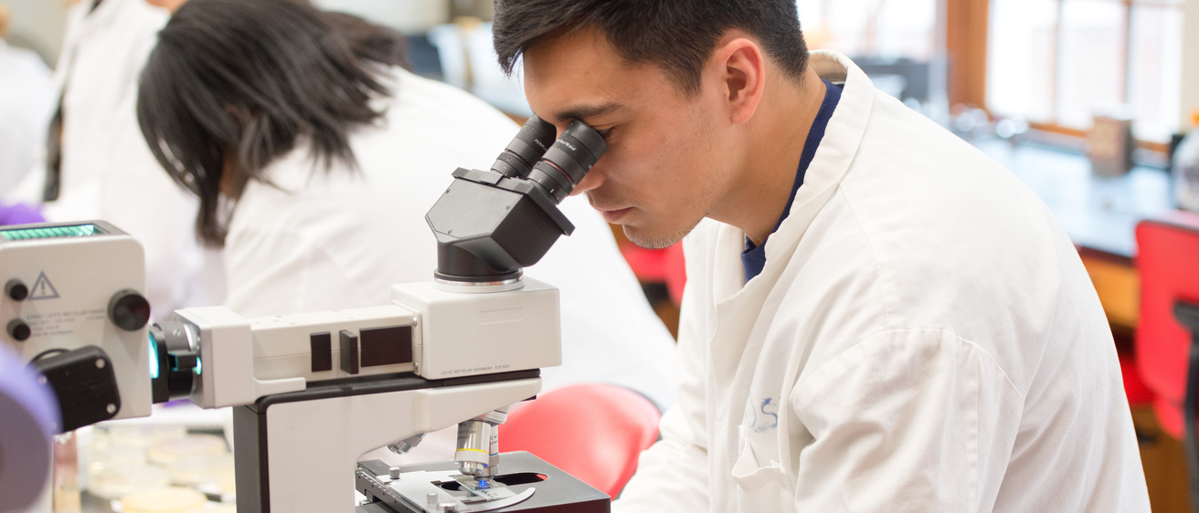 A person using a microscope