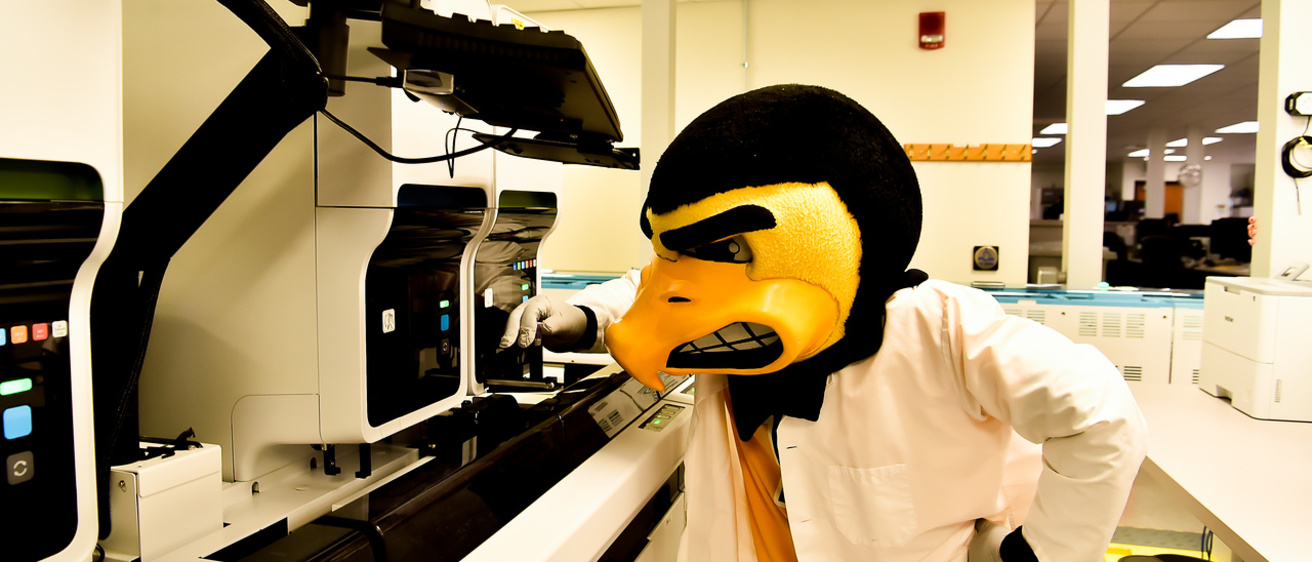 Herky the Hawk looking at some Lab Equipment